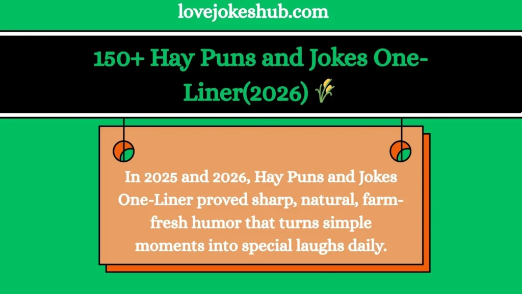 Hay Puns and Jokes One-Liner(2026)