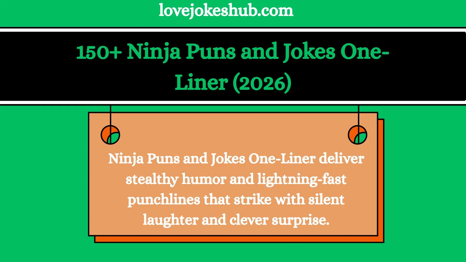 Ninja Puns and Jokes One-Liner
