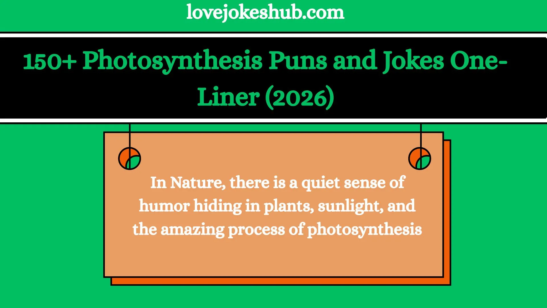 Photosynthesis Puns and Jokes One-Liner